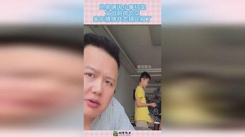 吃瓜父母吵架,家庭纷争背后的无奈与反思