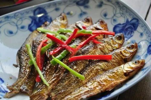 吃野味儿挨耳瓜,揭秘吃野味儿背后的生态危机