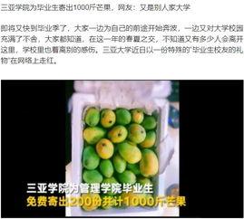 吃瓜大学改名大全,揭秘高校更名背后的故事与变迁