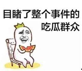 带你吃瓜文明与征服,文明碰撞与征服的史诗之旅
