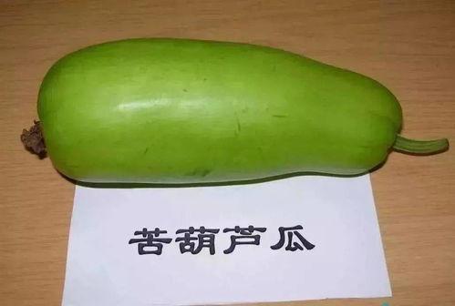 吃葫芦瓜有什么坏处,葫芦瓜食用不当的潜在风险与注意事项