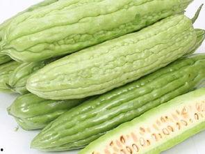 什么时候吃凉瓜,揭秘凉瓜的最佳食用时间