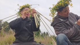 吃哈密瓜吃死了,一次意外引发的悲剧