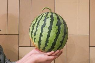 西昌十七度吃瓜照片,夏日清凉美食之旅