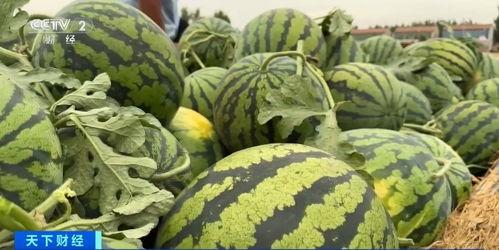 吃瓜热点大瓜,揭秘明星背后的惊人真相