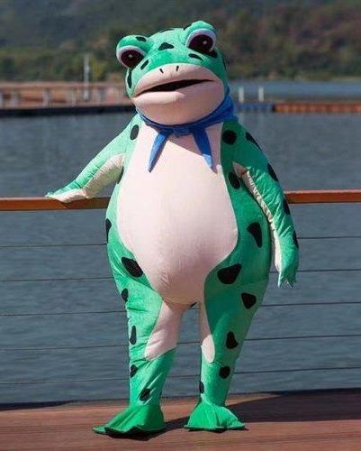 人偶青蛙吃瓜,人偶青蛙的夏日吃瓜奇遇记