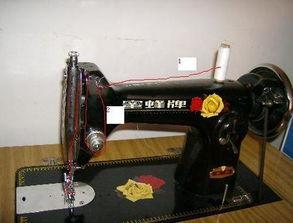 吃瓜踩缝纫机,揭秘网络热词背后的趣味与智慧