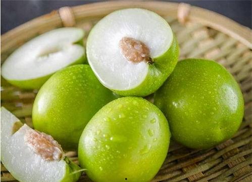 白杨养吃瓜,揭秘网络红人的瓜田奇遇