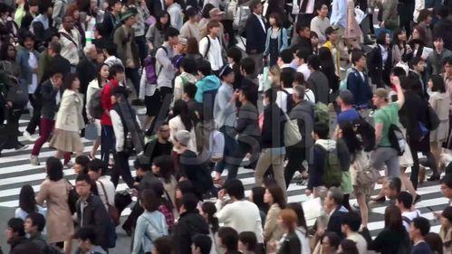 跳河轻生后吃瓜,网络舆论的反思