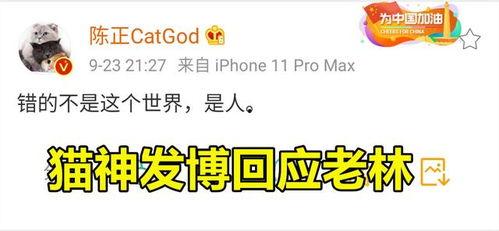 月光教练直播吃瓜